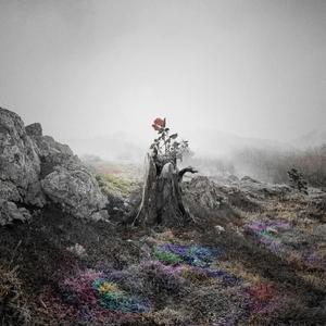 t66y技术讨论区2025 github
